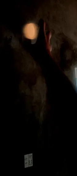 Anh Hùng Tái Sinh: Tôi Chỉ Muốn Một Cuộc Sống Bình Thường