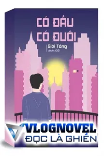 Có Đầu Có Đuôi - Giải Tổng