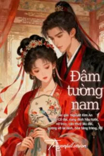 Đâm Tường Nam - Nguyệt Kim An