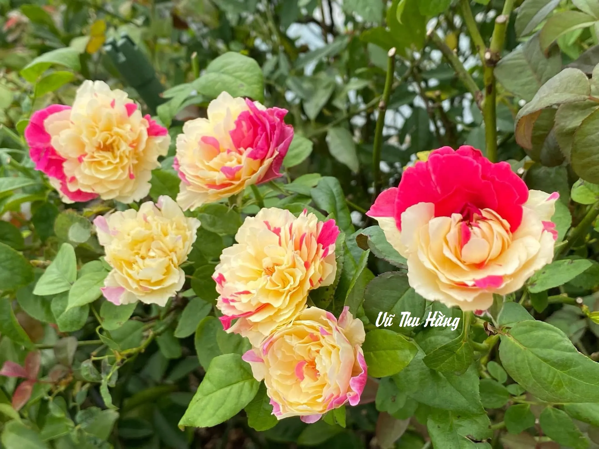 Gặp Lại Sau Ly Hôn