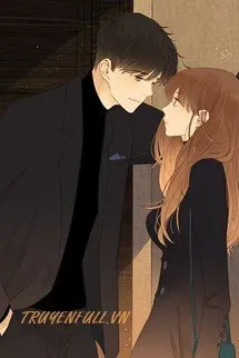 Vị Quýt Yêu Thích